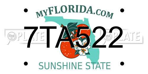 7TA522 Florida License Plate
