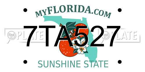 7TA527 Florida License Plate