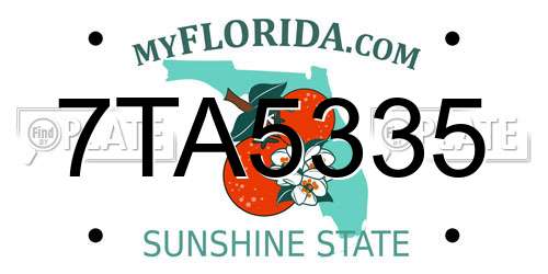 7TA5335 Florida License Plate