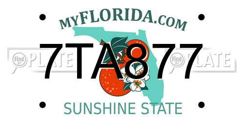 7TA877 Florida License Plate
