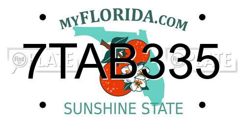 7TAB335 Florida License Plate