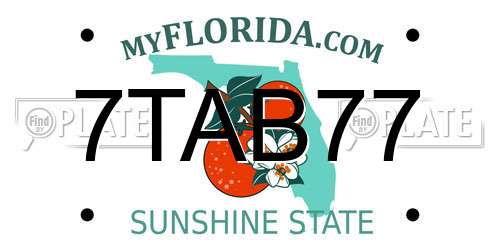 7TAB77 Florida License Plate