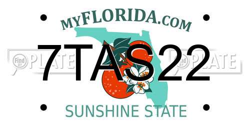 7TAS22 Florida License Plate