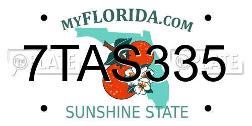 7TAS335 Florida License Plate