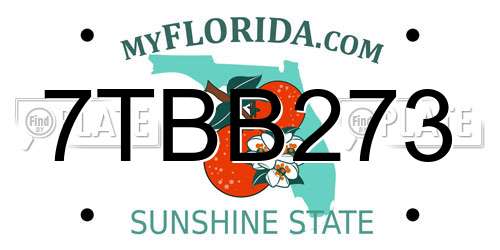 7TBB273 Florida License Plate