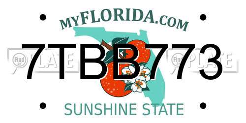 7TBB773 Florida License Plate
