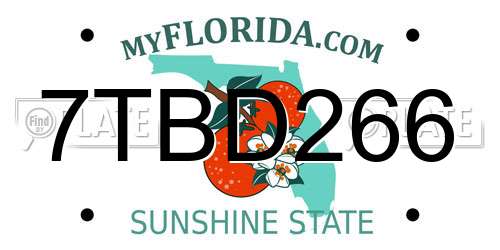 7TBD266 Florida License Plate