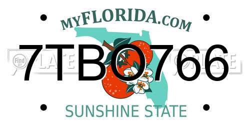 7TBO766 Florida License Plate