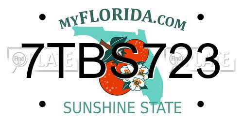 7TBS723 Florida License Plate