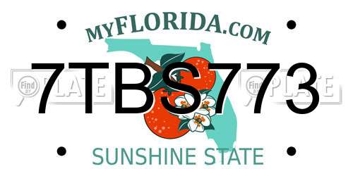 7TBS773 Florida License Plate