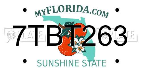 7TBT263 Florida License Plate