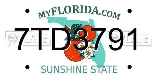 7TD3791 Florida License Plate