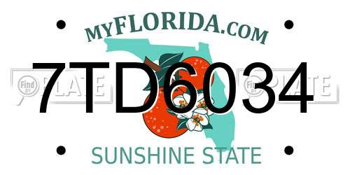 7TD6034 Florida License Plate