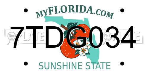 7TDG034 Florida License Plate