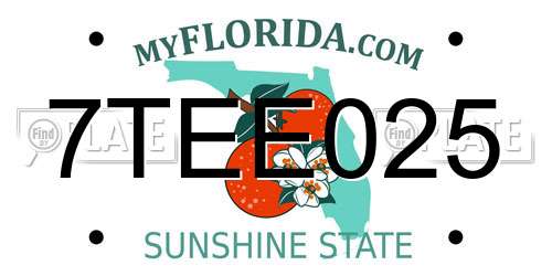 7TEE025 Florida License Plate