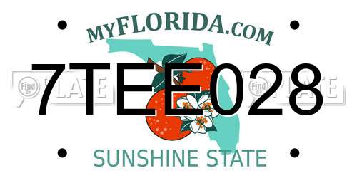 7TEE028 Florida License Plate