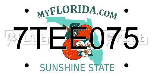 7TEE075 Florida License Plate