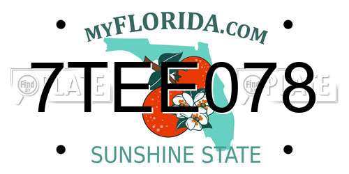 7TEE078 Florida License Plate
