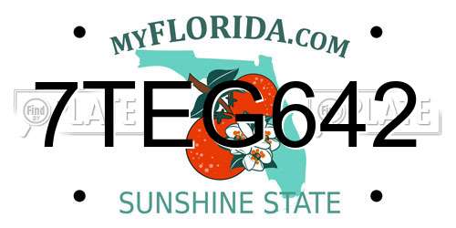 7TEG642 Florida License Plate