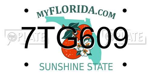 7TG609 Florida License Plate