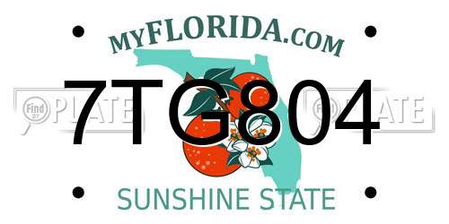 7TG804 Florida License Plate