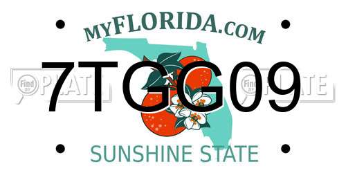 7TGG09 Florida License Plate