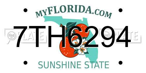 7TH6294 Florida License Plate