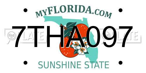 7THA097 Florida License Plate