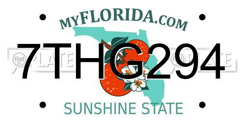 7THG294 Florida License Plate