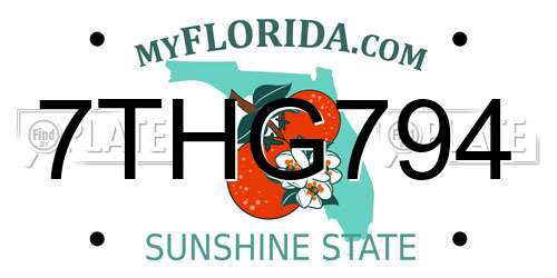 7THG794 Florida License Plate