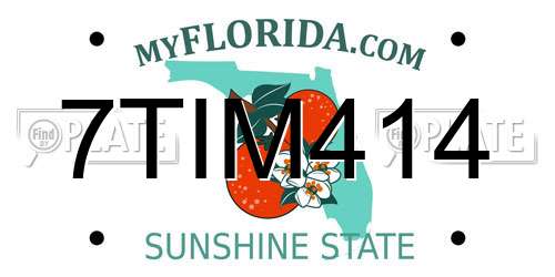 7TIM414 Florida License Plate