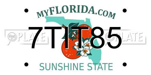 7TIT85 Florida License Plate
