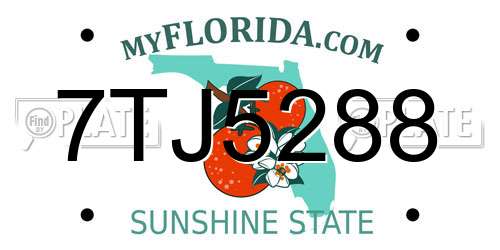 7TJ5288 Florida License Plate