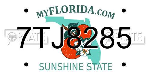 7TJ8285 Florida License Plate