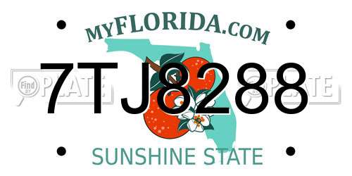 7TJ8288 Florida License Plate