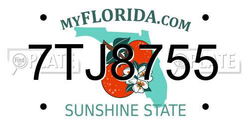 7TJ8755 Florida License Plate