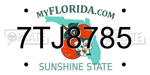 7TJ8785 Florida License Plate