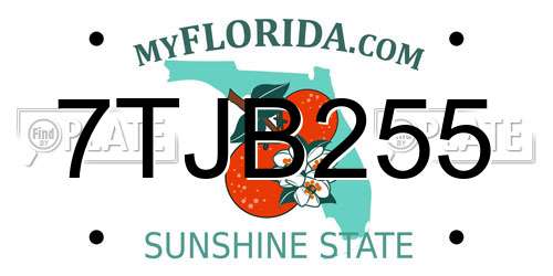 7TJB255 Florida License Plate