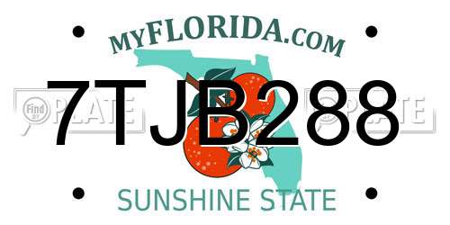 7TJB288 Florida License Plate
