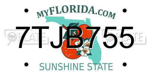7TJB755 Florida License Plate