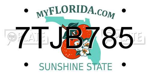 7TJB785 Florida License Plate