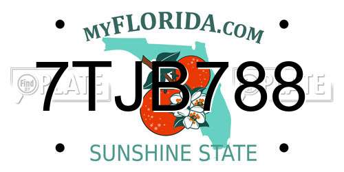 7TJB788 Florida License Plate