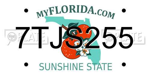 7TJS255 Florida License Plate