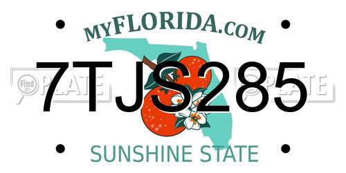 7TJS285 Florida License Plate