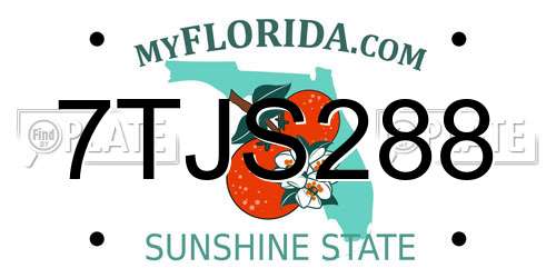 7TJS288 Florida License Plate