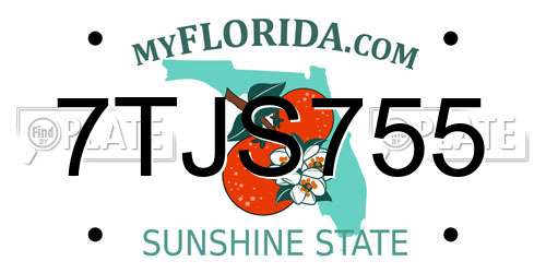 7TJS755 Florida License Plate