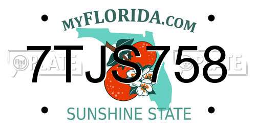 7TJS758 Florida License Plate