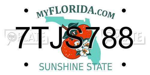 7TJS788 Florida License Plate