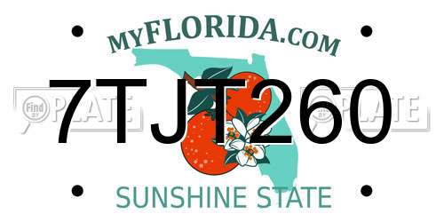 7TJT260 Florida License Plate