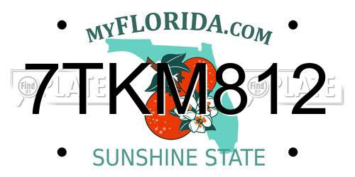 7TKM812 Florida License Plate
